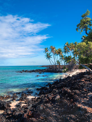 turquoise waters along a white sand beach with black lava rock and palm trees
