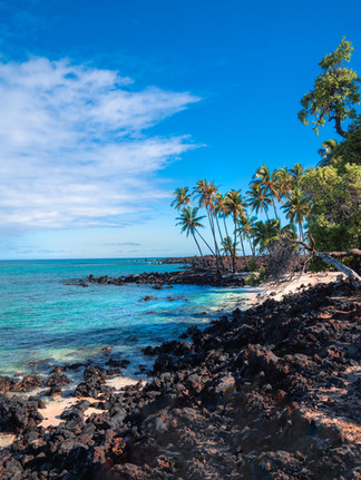 turquoise waters along a white sand beach with black lava rock and palm trees