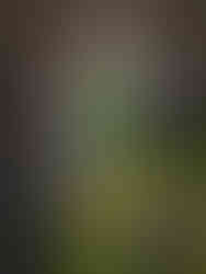 aerial view looking down at a man floating in a tide pool surrounded by by black lava rock and palm trees