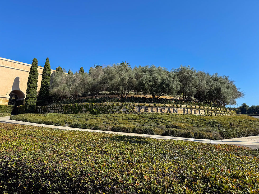 large letters spelling Pelican hill on a stone wall surrounded by vegetated vines with trees above it and hedging and a concrete walking path