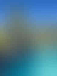 empty swimming pool with white linen chair covers in front of cabanas underneath large palm trees