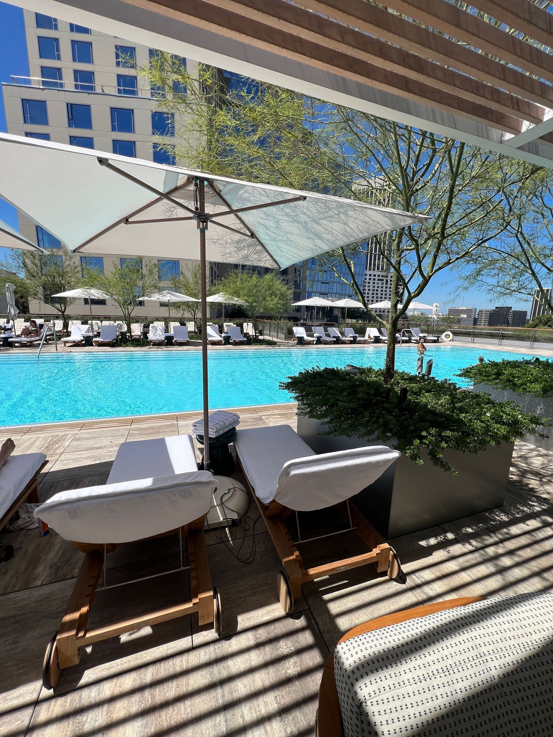 lounge chairs and umbrellas at the roof top pool in Conrad Los Angeles