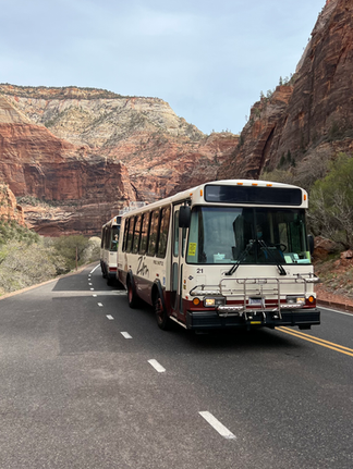 the Zion shuttle bus driving down the road surrounded by the white and red rock mountains of Zion national park 
