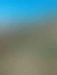 resort sits on the edge of the mountain with a larger range of desert mountain terrain behind