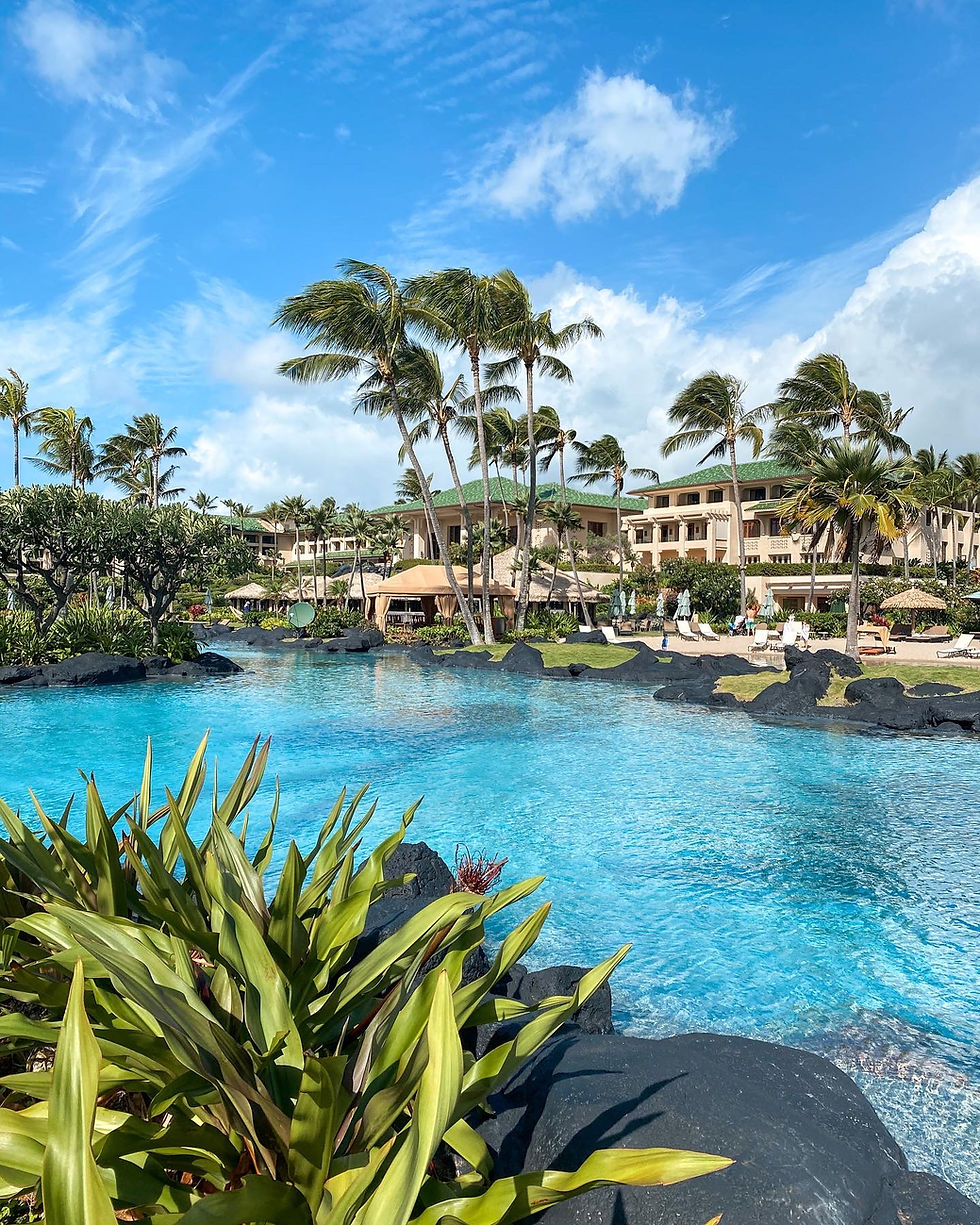bright blue lagoon waters with black lava rock surrounded by palm trees and the grand Hyatt in kauai