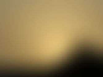 食いっぱぐれない唯一の方法