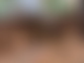 計画はなんのためにするの？計画の前の4つのポイント
