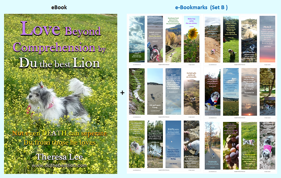 eBook + e-Bookmarks ( Set B )