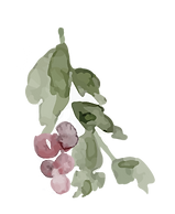 Design Elements-01.png