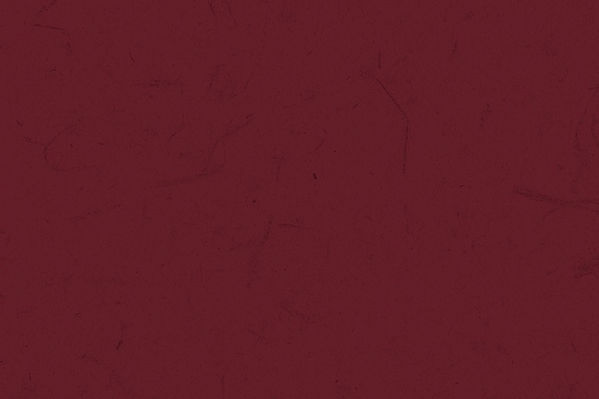 Paper Background.jpg