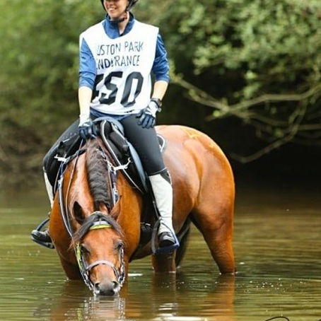 The Importance of Electrolytes