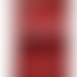 O POSSÍVEL RETORNO DO NAZISMO: Livro faz uma investigação sobre a ameaça da volta do nazismo