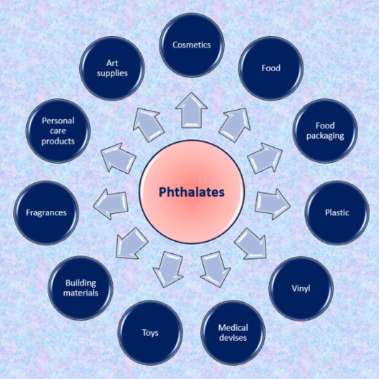 Phthalates what are they?