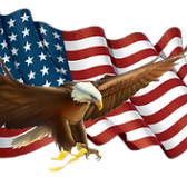 fas logo no background.png