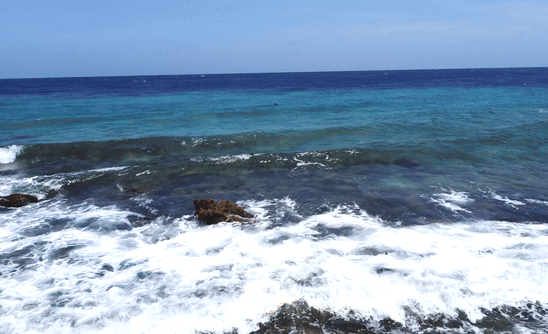 curacao beach.gif