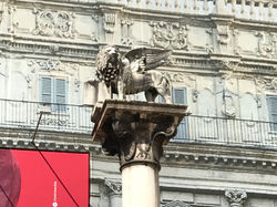 20190920_113014995_iOS