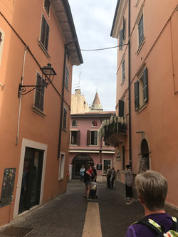 20190919_143705132_iOS