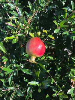 20190921_071726230_iOS