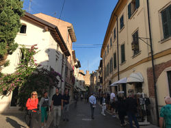 20190921_152444717_iOS