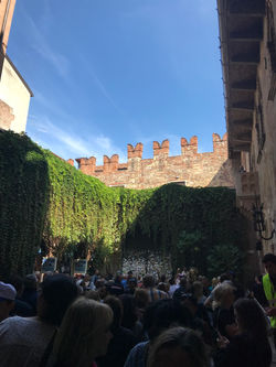 20190920_111942039_iOS