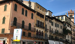 20190920_112902837_iOS (2)