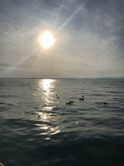 20190921_154306371_iOS