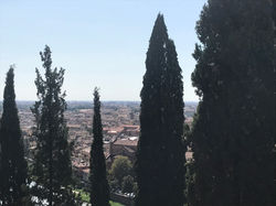 20190920_120114798_iOS