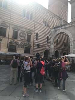 20190920_104335302_iOS