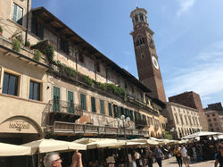 20190920_113038161_iOS