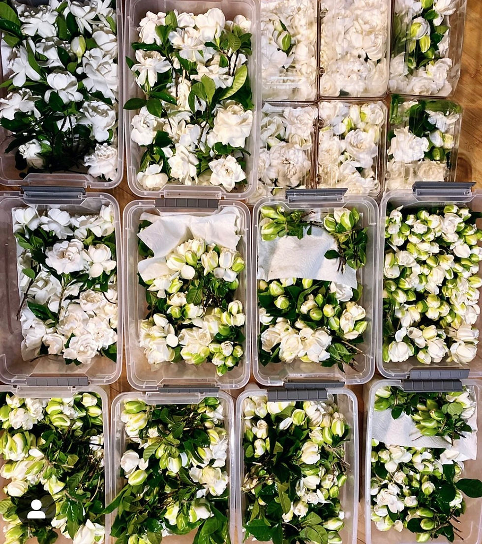 FLORAL ALLDAY_edited.jpg