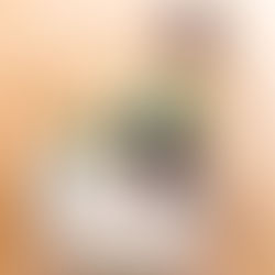 Celebrating Mike's 13-Year Journey as Our Senior Estimator