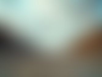 Innovative Solutions in Construction Services