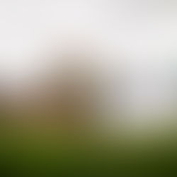 New Project at Langdon Hospital in Dawlish!