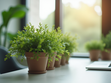 Spring Office Trends for Summer 2025 What to Expect