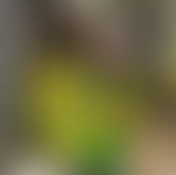 🔥 POWERING FIRE PROTECTION AT PENCARRIE, WILLAND 🔥