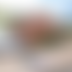 Exciting Developments at RSPCA Little Valley: The New Warren Rabbitry