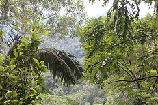 IMG_2987.JPG