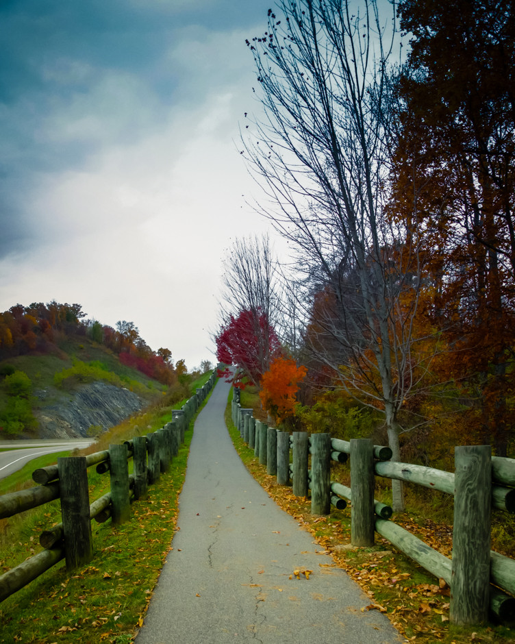20141031-262-2-2-2-2-2-Autumn Bliss.jpg