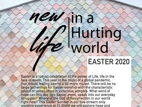 new life in a Hurting world