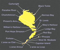 Southern Labrador