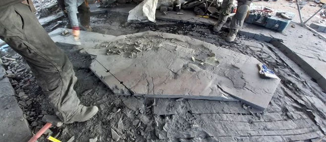 チリの氷河から無傷の妊娠中の魚竜の化石を発見