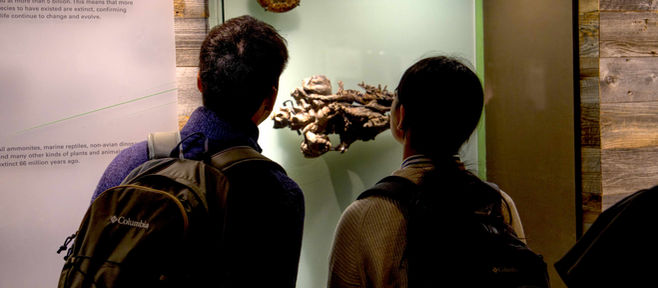 20年ぶりに甥っ子がお嫁さんを連れて… (9月中旬)