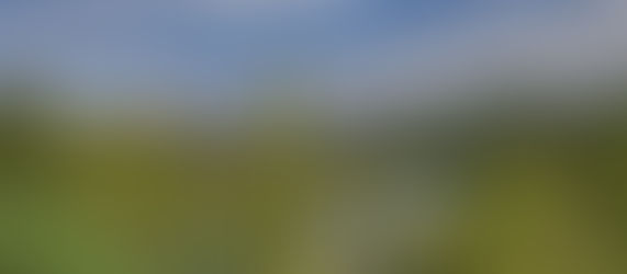 6月26日 カルガリー発専用車ツアー