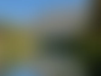 6月16日 バンフ発ロッキー1日観光(氷河観光)
