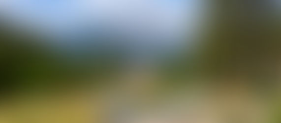 Y様ご夫妻 バンフ半日観光