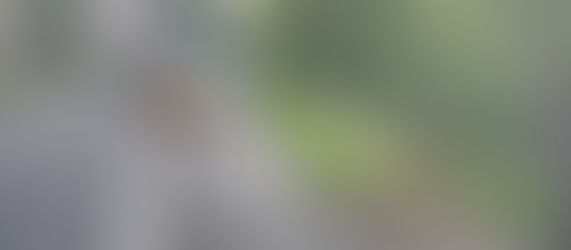 ロッキー1日観光 カップルをご案内