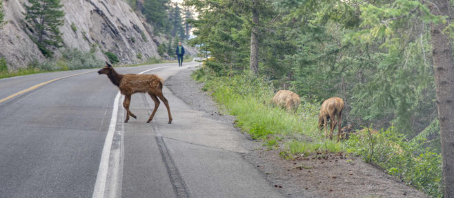 ロッキー1日観光 カップルをご案内
