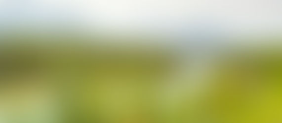 バンフ発 ヨーホー国立公園観光 ご夫婦の旅