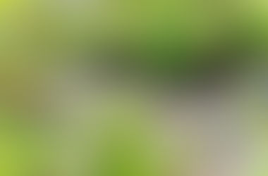 7月1日 レイクルイーズ発 ヨーホー国立公園観光 専用車