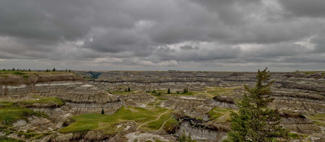 8月5日 ドラムヘラー観光